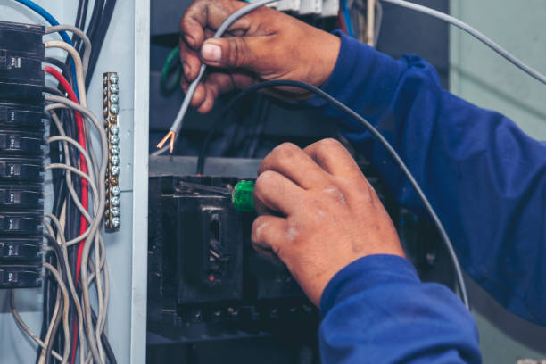 Best Electric Panel Repair  in Ozark, MO